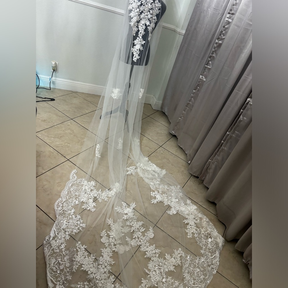 Luxurious long train wedding veil